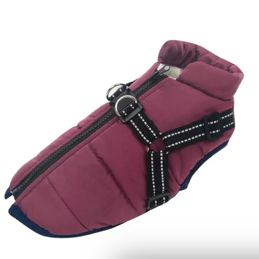 Cozy Canine | Waterproof Dog Coat with Built-in Harness for Winter Comfort 7