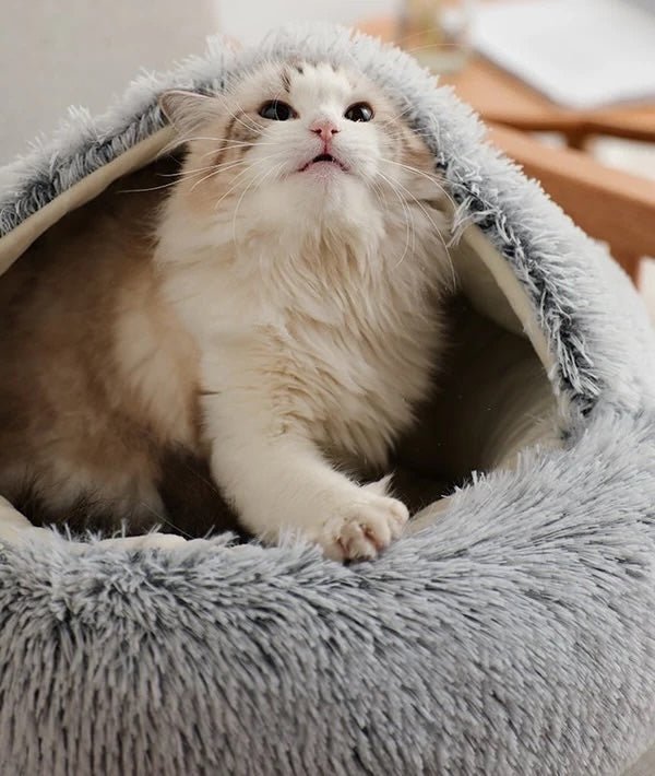 CozyNest | Orthopedic Dog & Cat Bed with Ultra-Soft Padding | Stress Relief Design for Comfort and Security 1