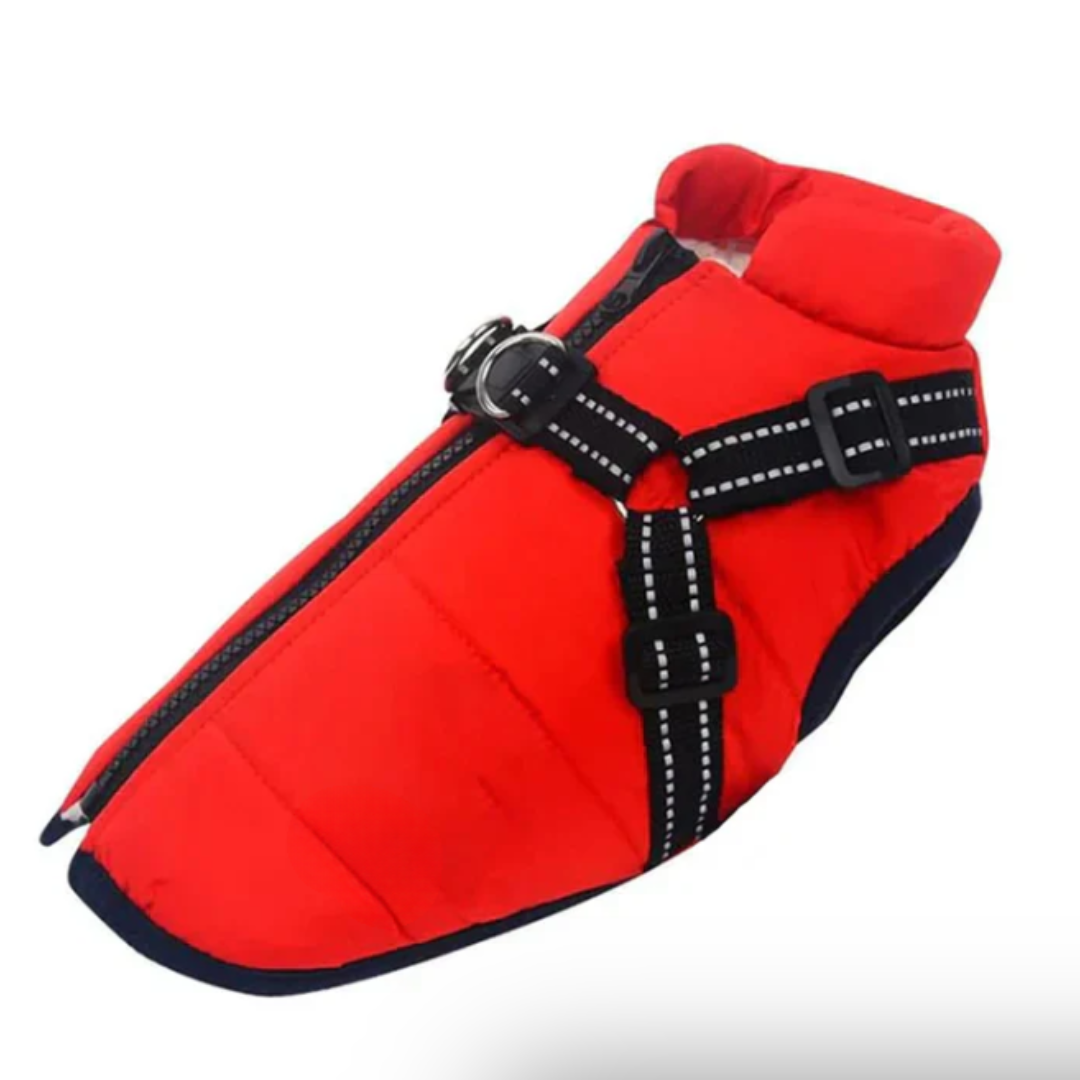 Cozy Canine | Waterproof Dog Coat with Built-in Harness for Winter Comfort 5