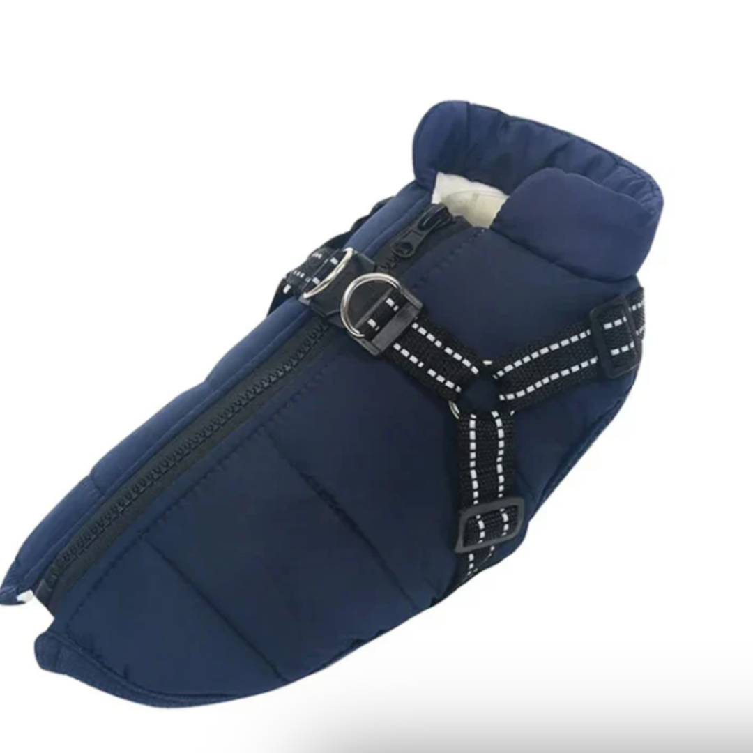 Cozy Canine | Waterproof Dog Coat with Built-in Harness for Winter Comfort 6