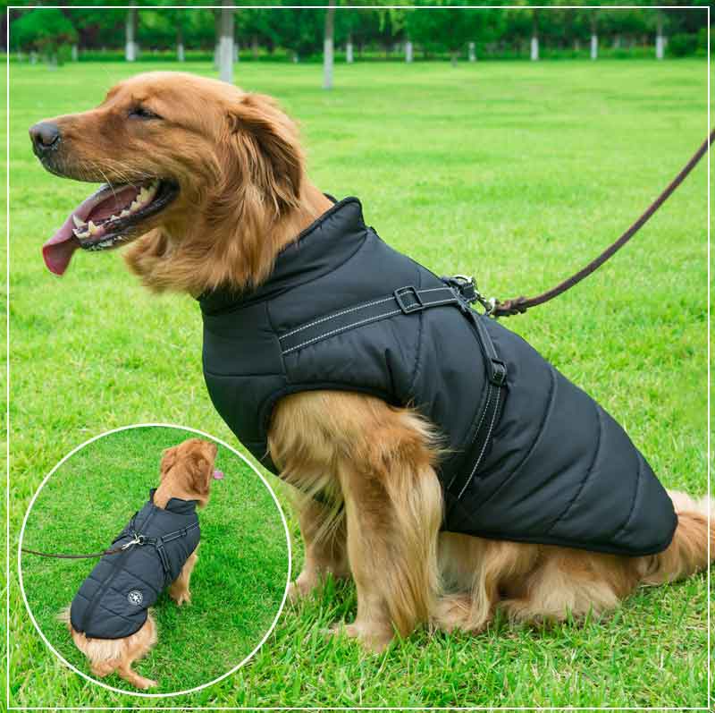 Cozy Collection | Waterproof Dog Jacket with Integrated Harness & Reflective Safety for Ultimate Comfort 2