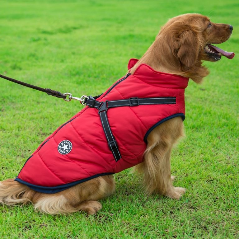 Cozy Collection | Waterproof Dog Jacket with Integrated Harness & Reflective Safety for Ultimate Comfort 3