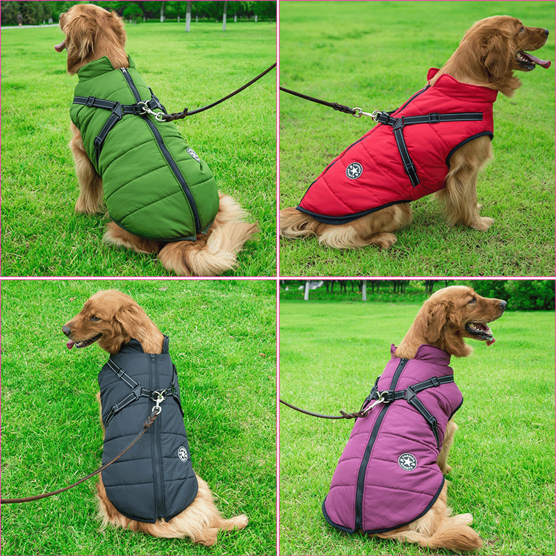 Cozy Collection | Waterproof Dog Jacket with Integrated Harness & Reflective Safety for Ultimate Comfort 4