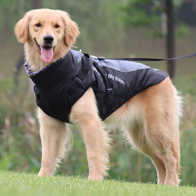 Reflective Dog Jacket | Waterproof Dog Coat with Built-in Harness | Enhanced Safety for Outdoor Adventures 2