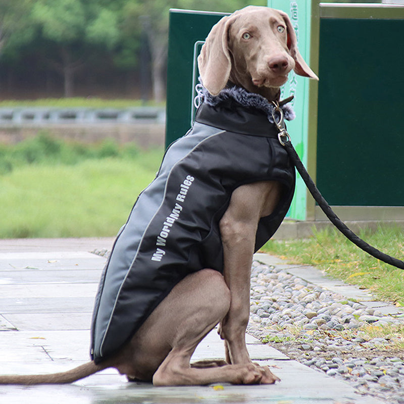 Reflective Dog Jacket | Waterproof Dog Coat with Built-in Harness | Enhanced Safety for Outdoor Adventures 4