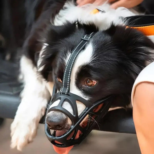 SafeBark | Dog Muzzle for Anti-Bite & Anti-Bark Control | Comfortable Fit for Stress-Free Use 0