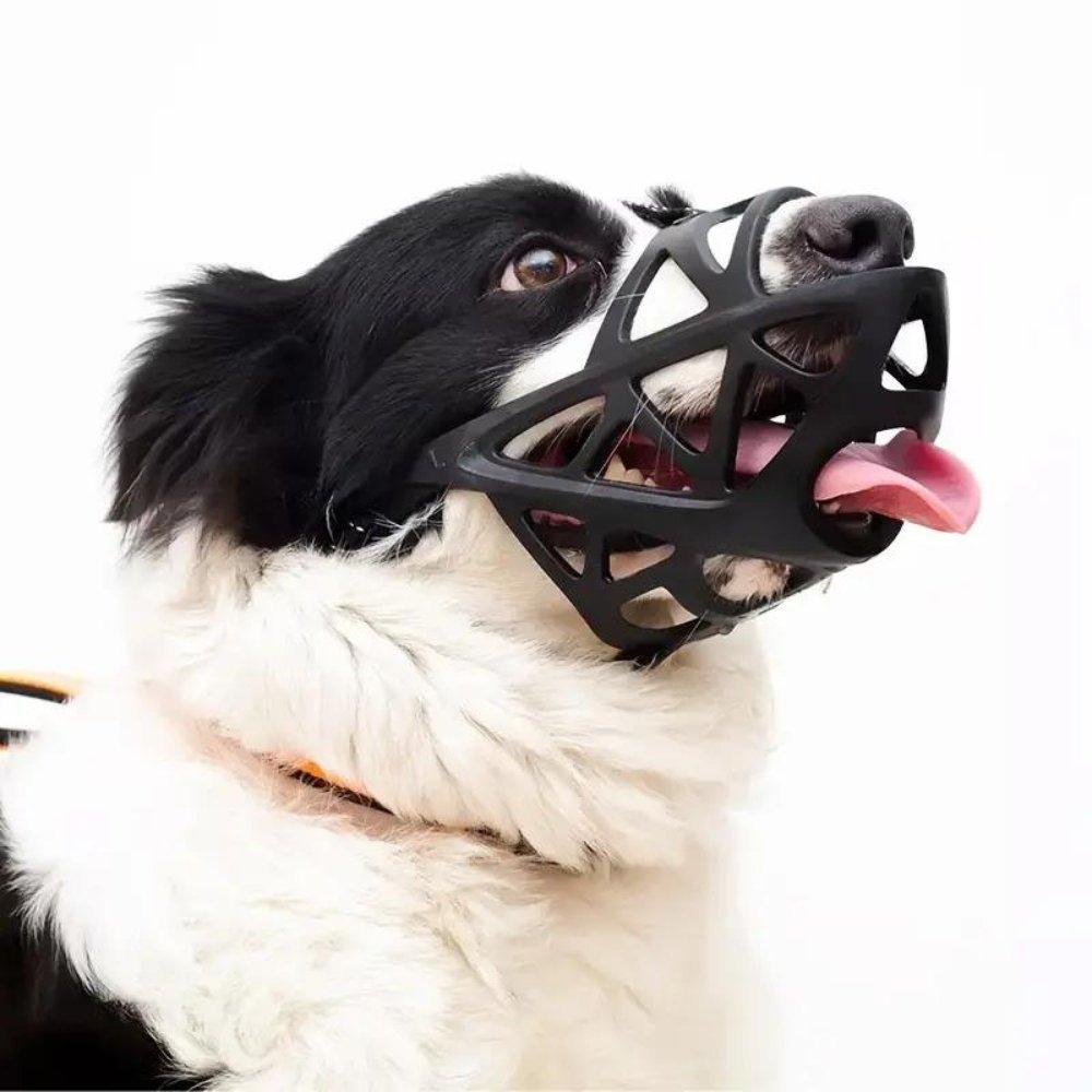 SafeBark | Dog Muzzle for Anti-Bite & Anti-Bark Control | Comfortable Fit for Stress-Free Use 1