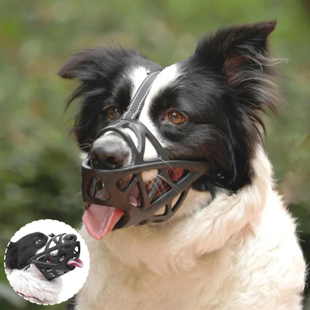 SafeBark | Dog Muzzle for Anti-Bite & Anti-Bark Control | Comfortable Fit for Stress-Free Use 2