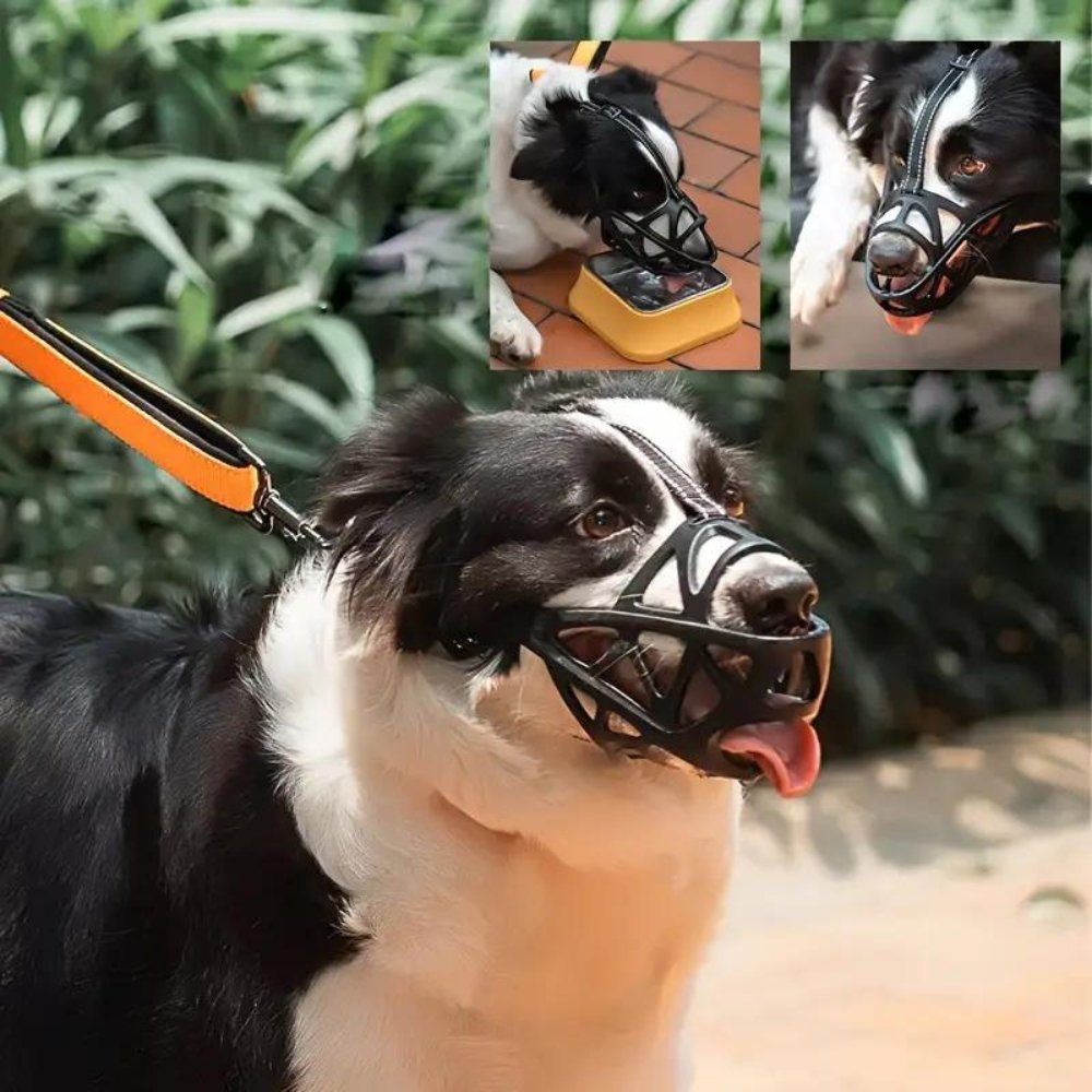SafeBark | Dog Muzzle for Anti-Bite & Anti-Bark Control | Comfortable Fit for Stress-Free Use 4
