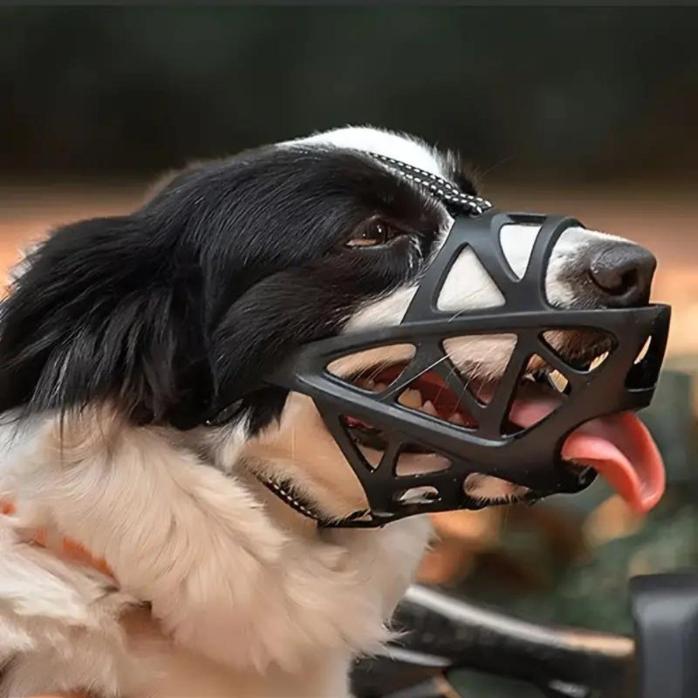 SafeBark | Dog Muzzle for Anti-Bite & Anti-Bark Control | Comfortable Fit for Stress-Free Use 5