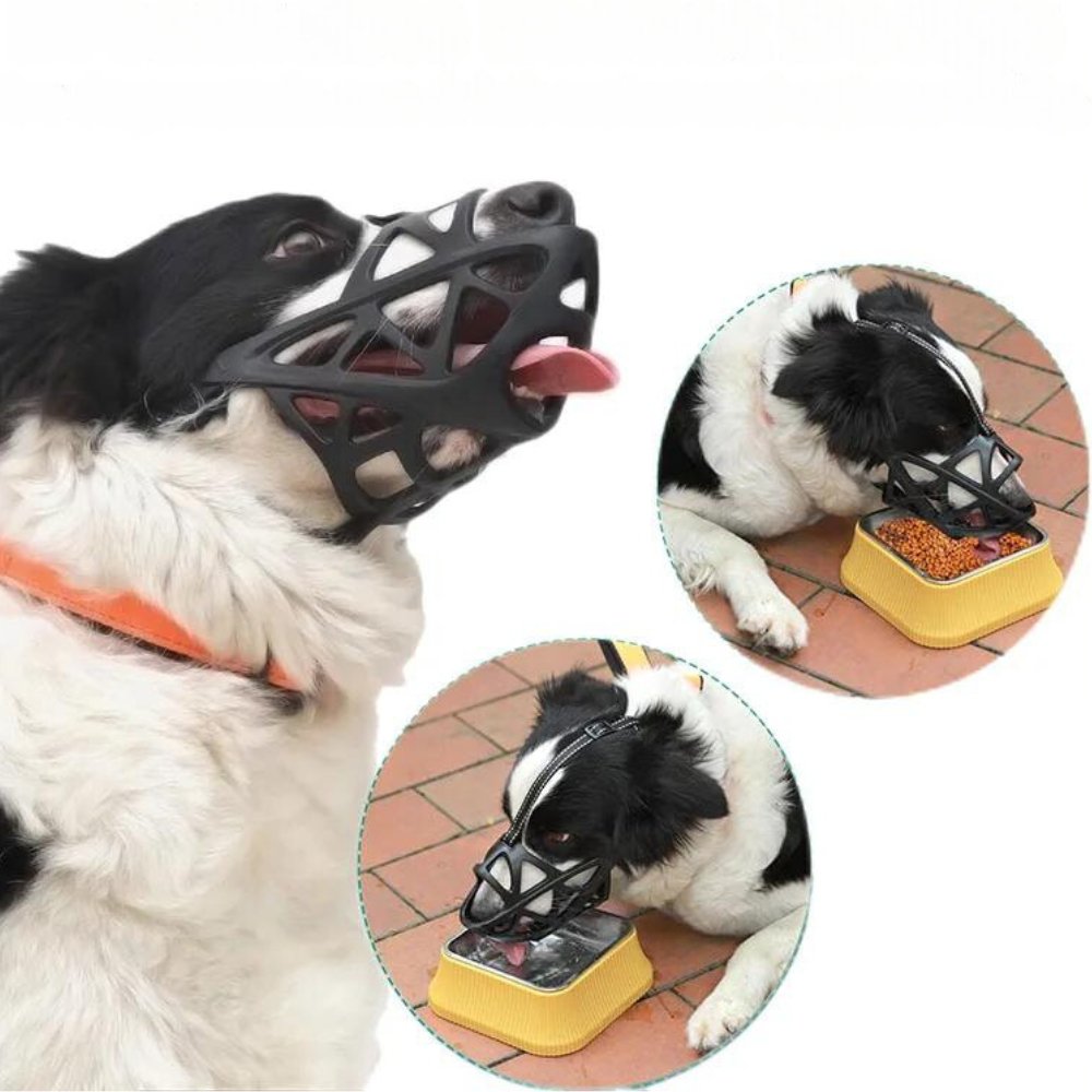 SafeBark | Dog Muzzle for Anti-Bite & Anti-Bark Control | Comfortable Fit for Stress-Free Use 6