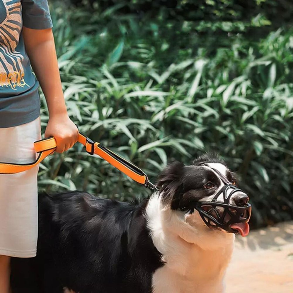 SafeBark | Dog Muzzle for Anti-Bite & Anti-Bark Control | Comfortable Fit for Stress-Free Use 7
