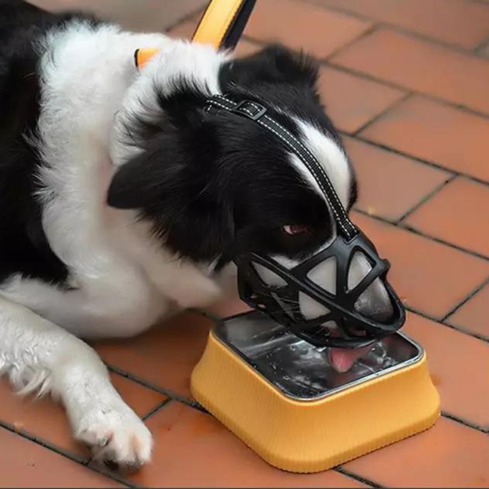 SafeBark | Dog Muzzle for Anti-Bite & Anti-Bark Control | Comfortable Fit for Stress-Free Use 8