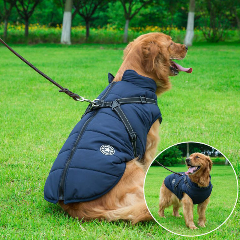 Winter Dog Jacket | Waterproof Dog Coat with Reflective Harness | Adjustable Fit for Comfort and Warmth 2